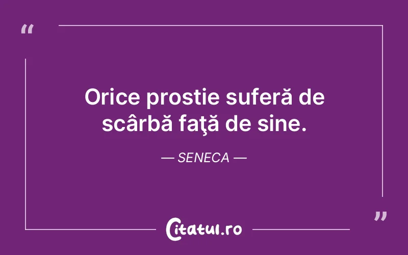 Citat Seneca - citate triste