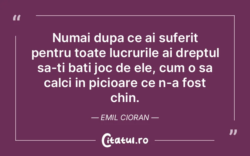 Numai dupa ce ai suferit pentru toate lucrurile ai dreptul sa-ti bati joc de ele, cum o sa calci in picioare ce n-a fost chin. Emil Cioran