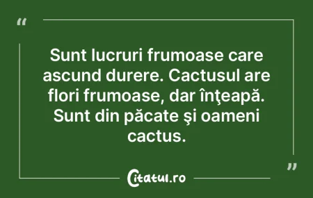 Sunt lucruri frumoase care ascund durere...