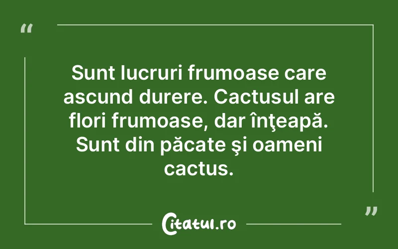Citat Autor necunoscut - citate triste