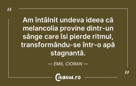 Am întâlnit undeva ideea că melancoli... Am întâlnit undeva ideea că melancoli...