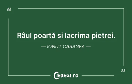 Râul poartă și lacrima pietrei. Ionut...