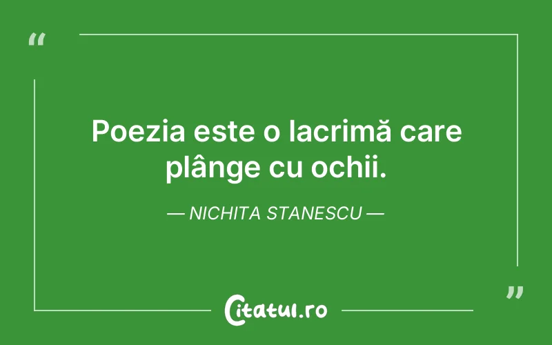Citat Nichita Stanescu - citate triste