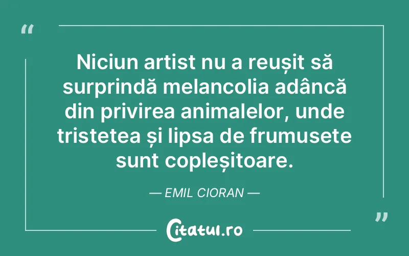 Citat Emil Cioran - citate triste