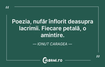 Poezia, nufăr înflorit deasupra lacrim...