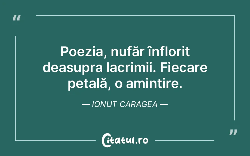 Citat Ionut Caragea - citate triste