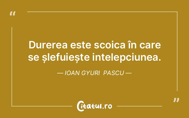 Citat Ioan Gyuri Pascu - citate triste