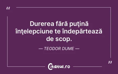 Durerea fără puţină înţelepciune t...