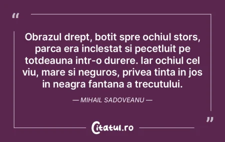 Obrazul drept, botit spre ochiul stors, ... Obrazul drept, botit spre ochiul stors, ...
