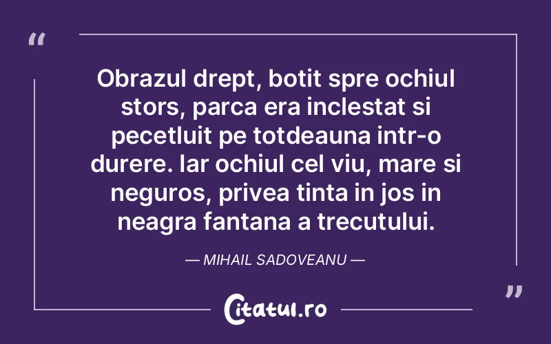 Citat Mihail Sad - citate triste