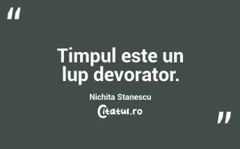 Timpul este un lup devorator. Nichita Stanescu...