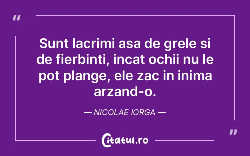 Citat Nicolae Iorga - citate triste