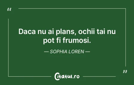 Daca nu ai plans, ochii tai nu pot fi fr...