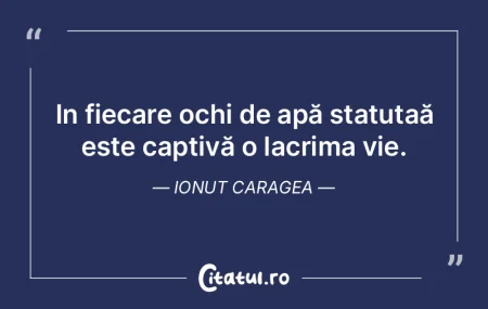 In fiecare ochi de apă statutaă este c...