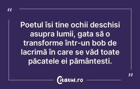 Poetul își ține ochii deschiși asupr... Poetul își ține ochii deschiși asupr...