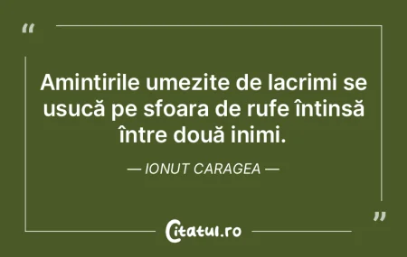 Amintirile umezite de lacrimi se usucă ... Amintirile umezite de lacrimi se usucă ...