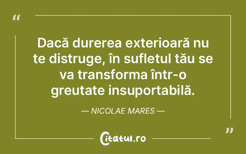 Citat Nicolae Mares - citate triste