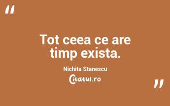 Tot ceea ce are timp exista. Nichita Stanescu...