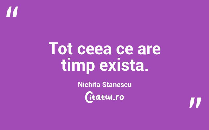 Tot ceea ce are timp exista. Nichita Stanescu
