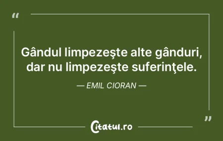 Gândul limpezeşte alte gânduri, dar n...