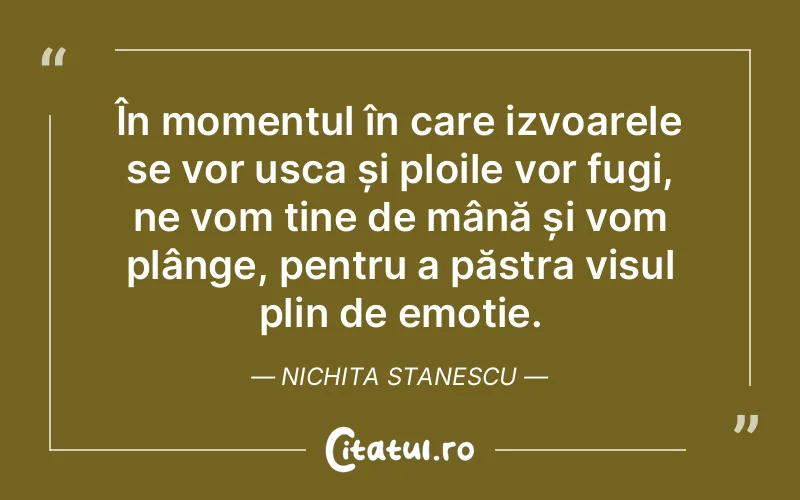 Citat Nichita Stanescu - citate triste