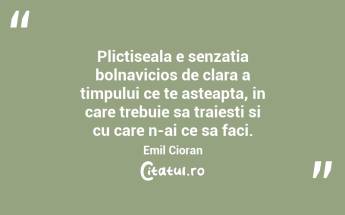 Plictiseala e senzatia bolnavicios de clara a timpului ce te asteapta, in care trebuie sa traiesti si cu care n-ai ce sa faci. Emil Cioran...
