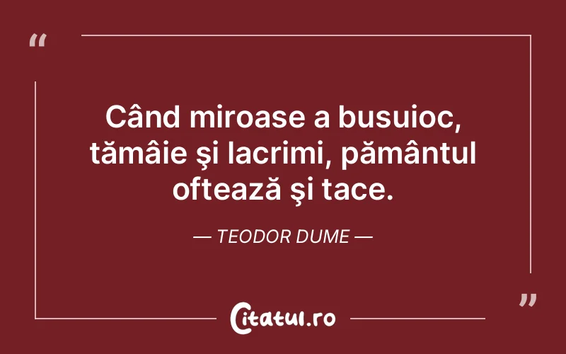 Citat Teodor Dume - citate triste