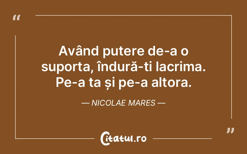 Citat Nicolae Mares - citate triste