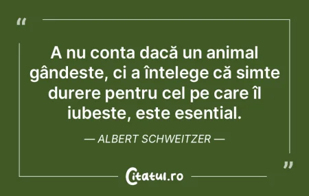 A nu conta dacă un animal gândește, c... A nu conta dacă un animal gândește, c...