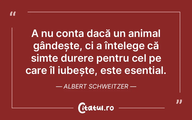 Citat Albert Schweitzer - citate triste