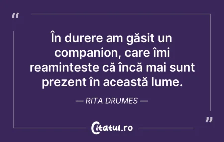 În durere am găsit un companion, care ... În durere am găsit un companion, care ...