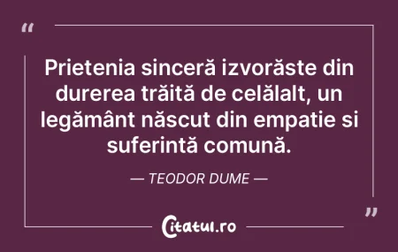 Prietenia sinceră izvorăște din durer... Prietenia sinceră izvorăște din durer...