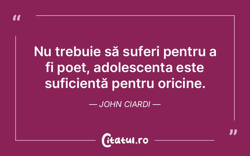 Citat John Ciardi - citate triste