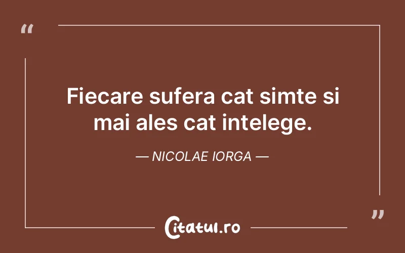 Citat Nicolae Iorga - citate triste