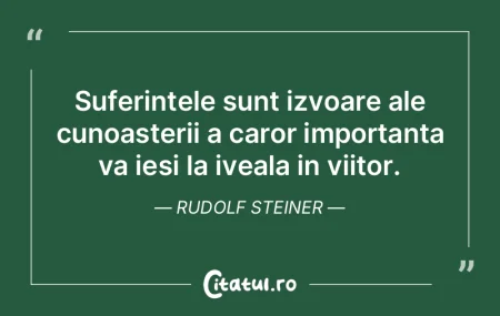 Suferintele sunt izvoare ale cunoasterii... Suferintele sunt izvoare ale cunoasterii...