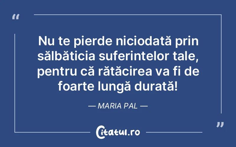 Citat Maria Pal - citate triste