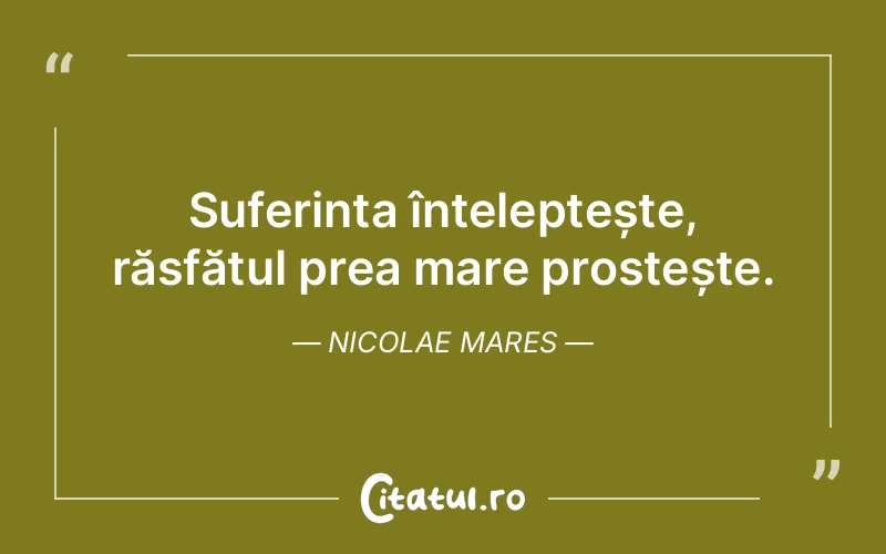 Citat Nicolae Mares - citate triste