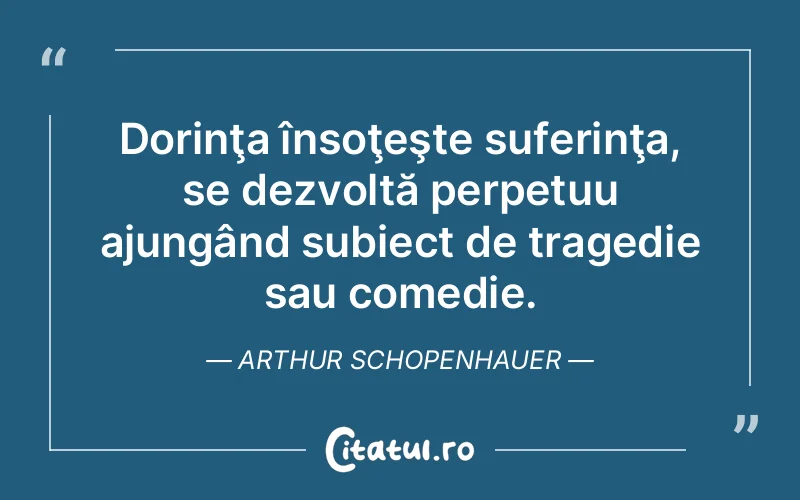 Citat Arthur Schopenhauer - citate triste