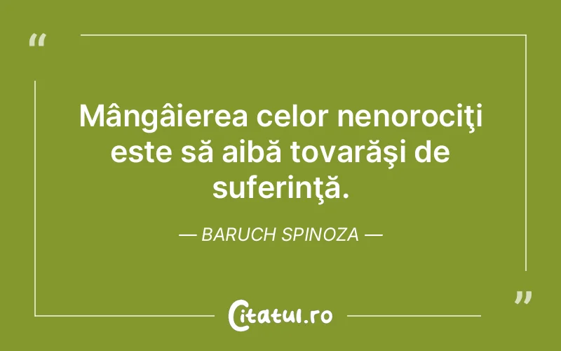 Citat Baruch Spinoza - citate triste