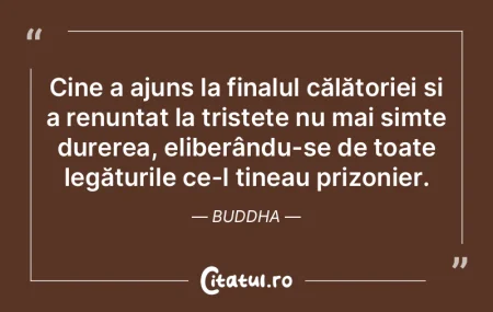Cine a ajuns la finalul călătoriei și... Cine a ajuns la finalul călătoriei și...