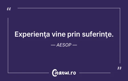 Experienţa vine prin suferinţe. Aesop