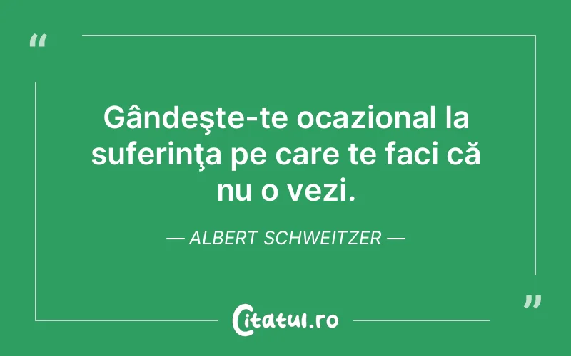 Citat Albert Schweitzer - citate triste