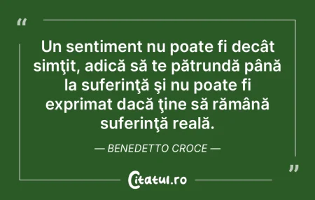 Un sentiment nu poate fi decât simţit,...