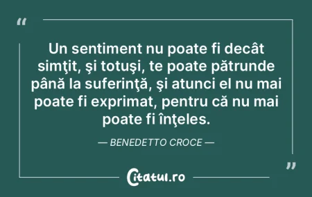 Un sentiment nu poate fi decât simţit,... Un sentiment nu poate fi decât simţit,...