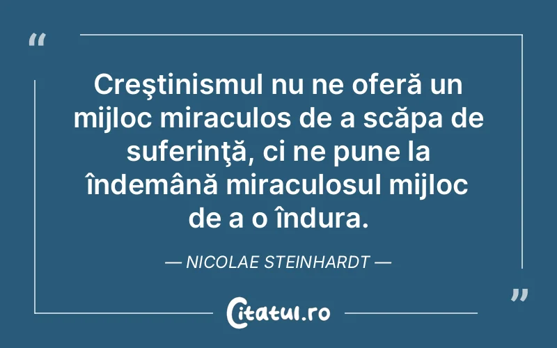 Citat Nicolae Steinhardt - citate triste