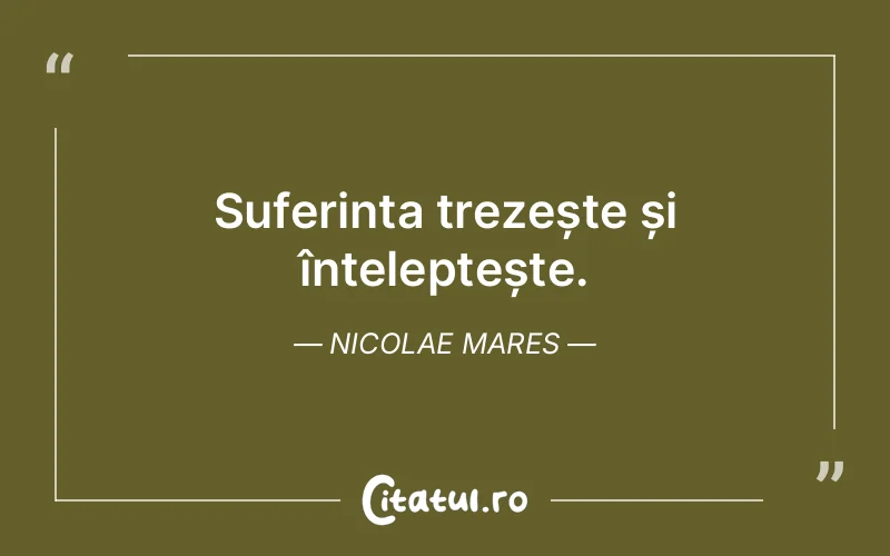 Citat Nicolae Mares - citate triste