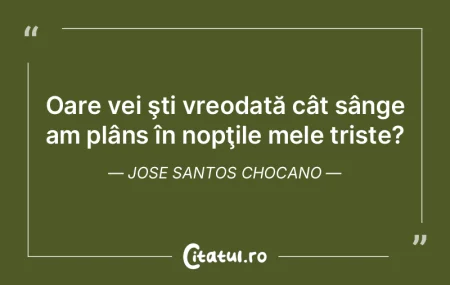 Oare vei şti vreodată cât sânge am p...