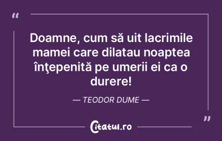 Doamne, cum să uit lacrimile mamei care...