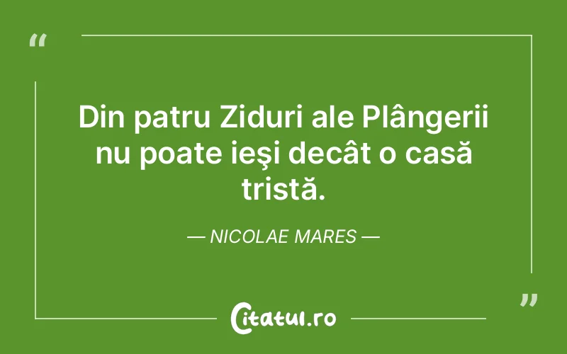 Citat Nicolae Mares - citate triste