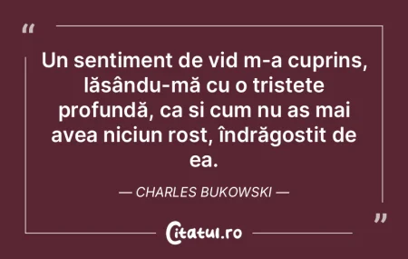 Un sentiment de vid m-a cuprins, lăsân...